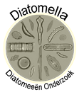 Diatomella