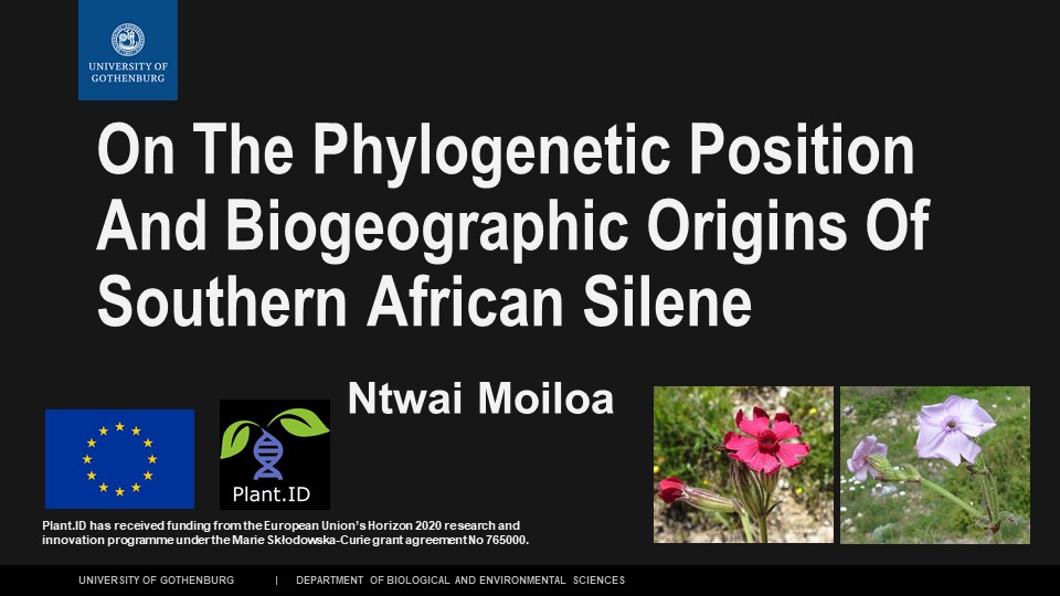 First slide presentation Ntwai