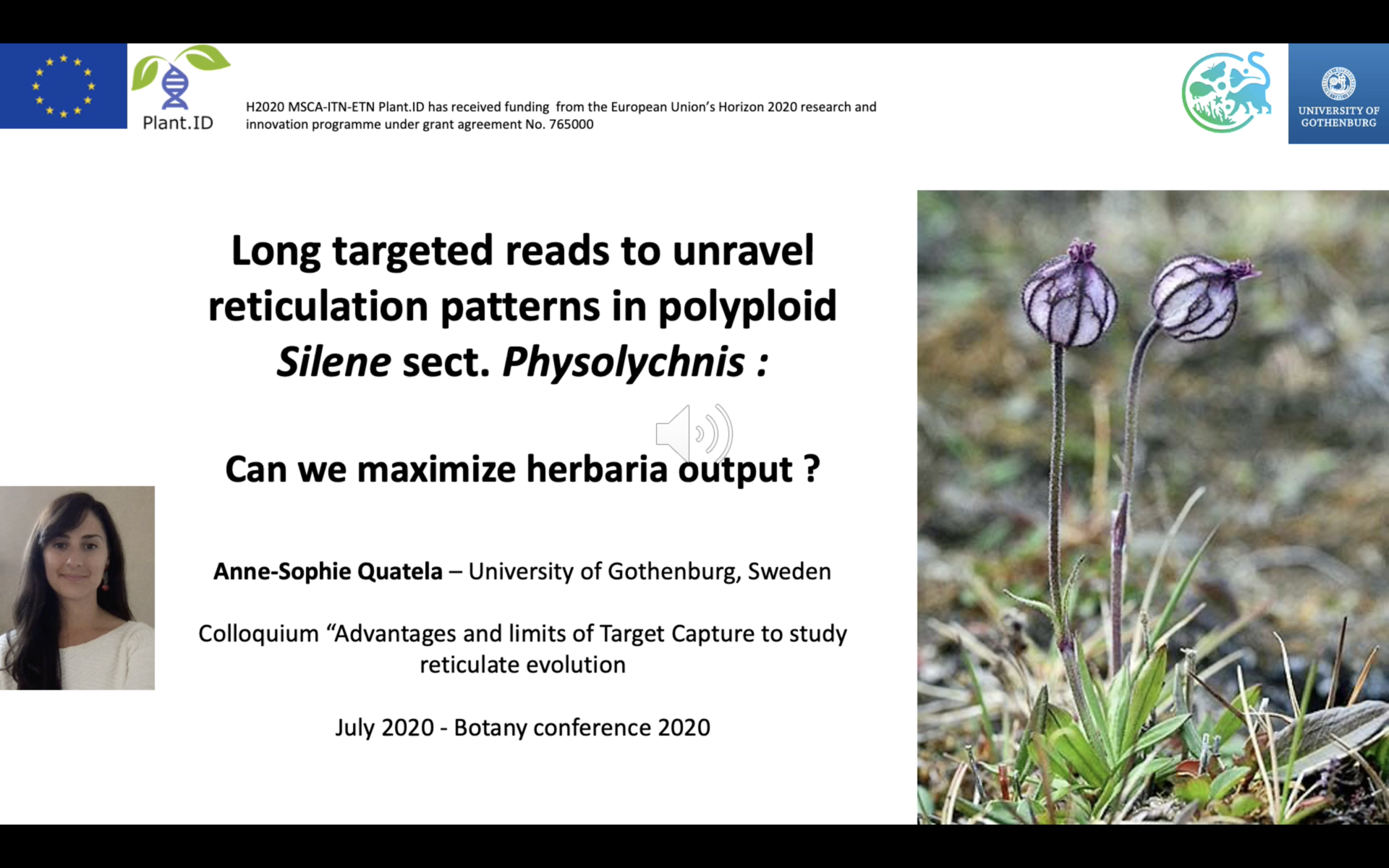 First slide of Anne-Sophie's presentation