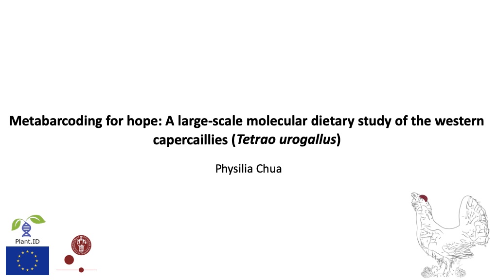 First slide presentation Physilia